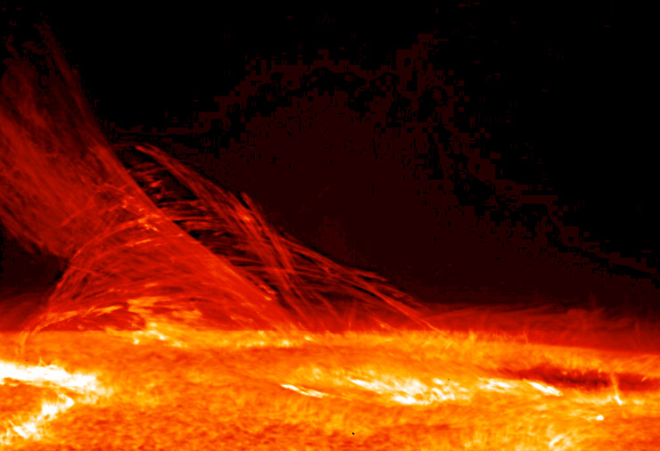 Image of a flare extending from the surface of a star