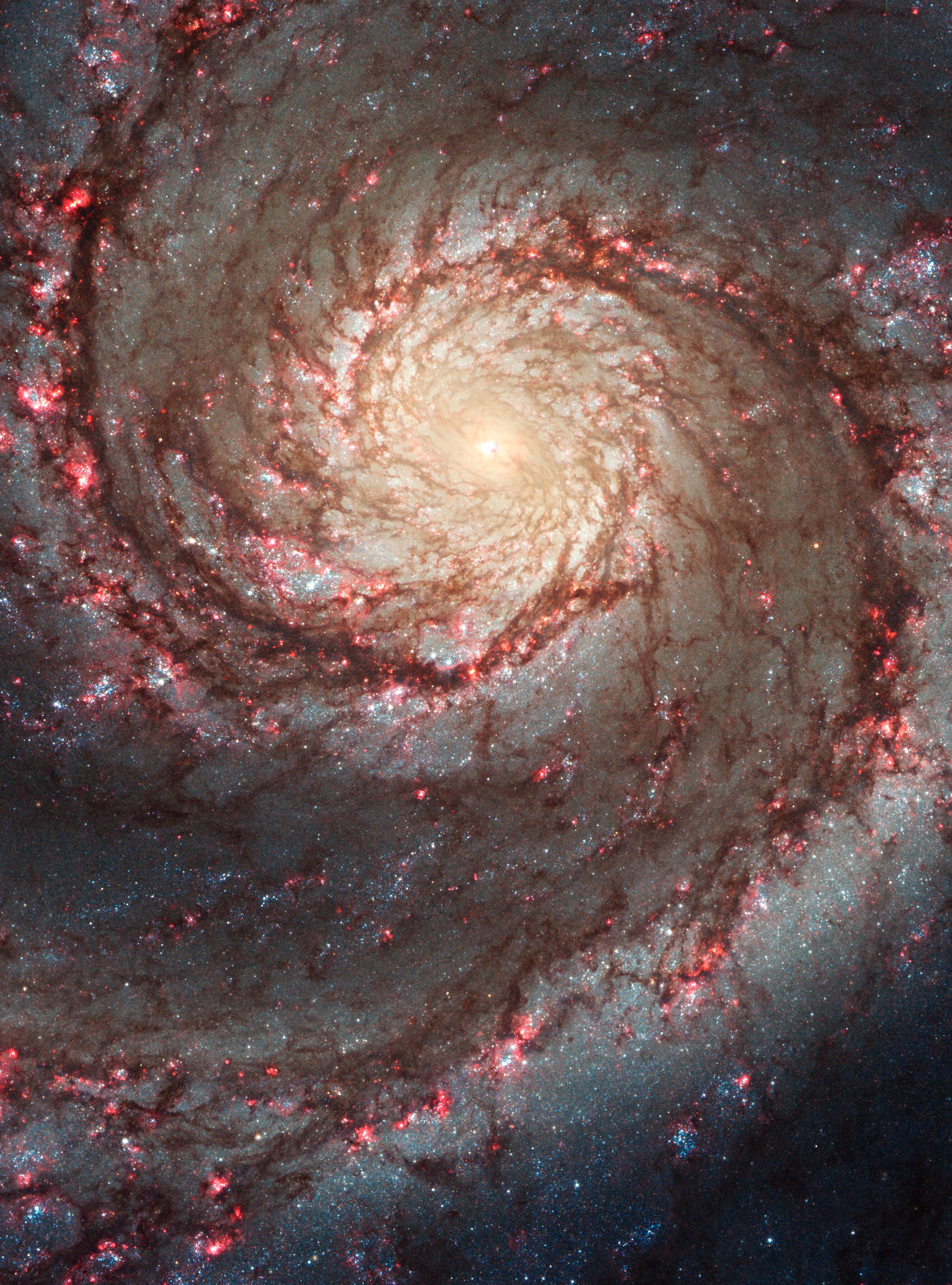 Formation of galaxies