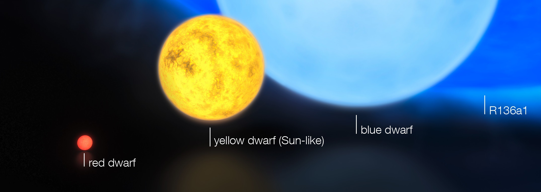 Massive Stars