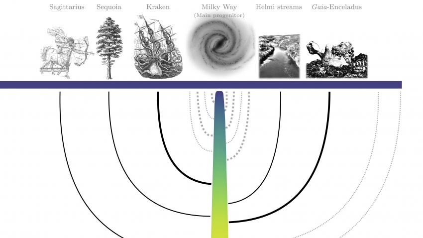 Illustration of the Milky Way's proposed merger history