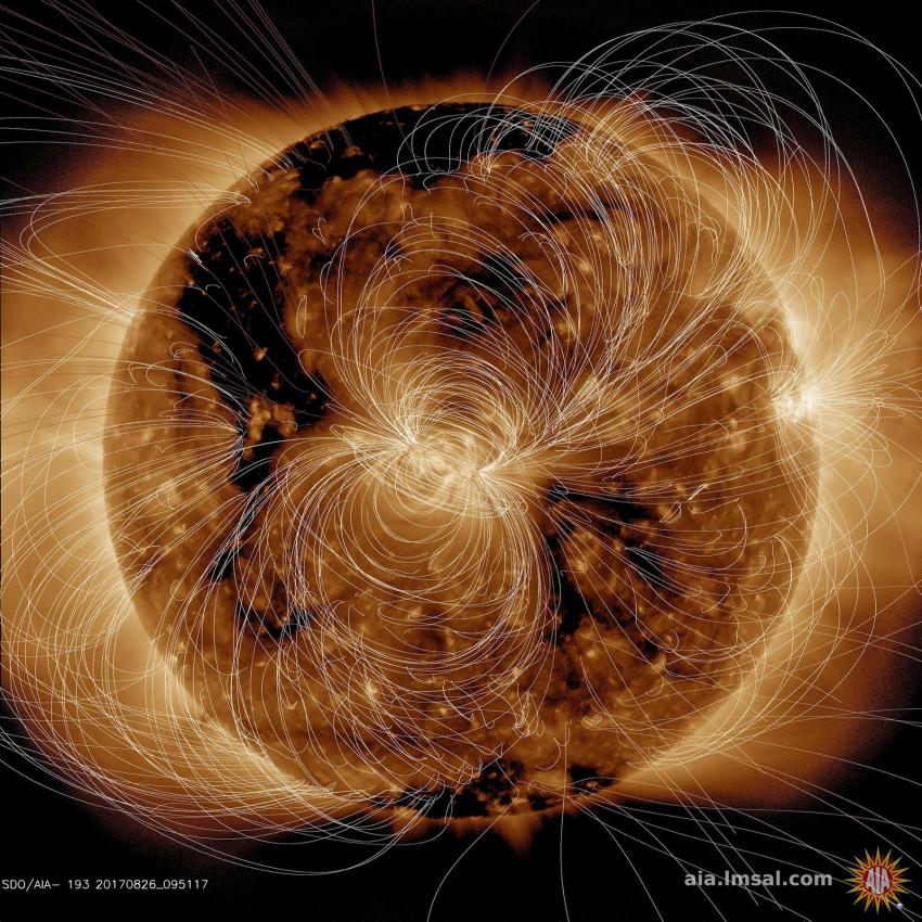 Image of the Sun in yellow and black, with white lines indicating the magnetic field emerging and looping back into the surface