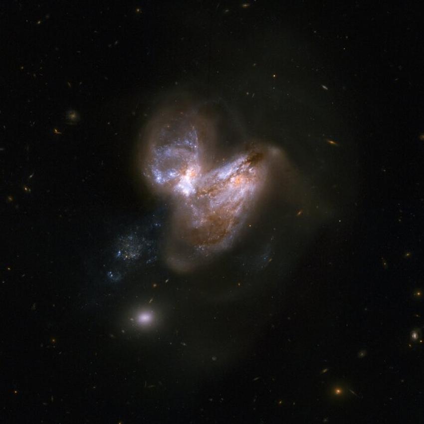 An image of two galaxies intertwined against the dark backdrop of space. Both of the galaxies are light in colour, with touched of lilac, pink and red running throughout. Very distant galaxies are seen in the background, most of them spiral shaped and much smaller than the two interacting galaxies.