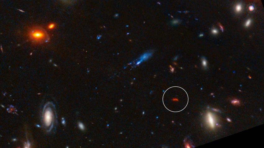 Glowing deep red from the distant past, the galaxy Y1 shines because of dust grains heated by newly-formed stars (circled in this image from the James Webb Space Telescope).