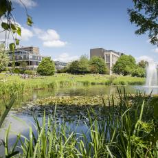 University of Bath