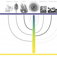 Illustration of the Milky Way's proposed merger history