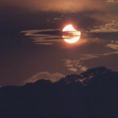 The Sun in the sky, with a 'chunk' taken out of it. This chunk is the shadow of the Moon, and it eats into the circle of the Sun, coming from the right hand side.