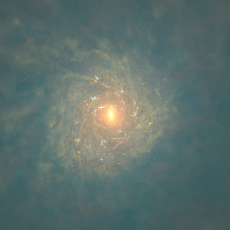 A yellow gold hued spiral galaxy against the blue-black backdrop of space.