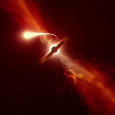 The artist's impression shows a star being consumed by a black hole. The black hole appears red and black and glows with a red light. The star in the foreground is orange in colour and also glows.