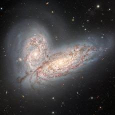 An image of two merging galaxies. Both are light blue and cream in colour. Faint stars are seen in the background.