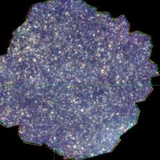 The final SPIRE Dark Field image map created by combining the Blue (250 micrometres), Green (350 micrometres) and Red (500 micrometres) SPIRE camera channels together, each channel stacking a total of 141 individual images on top of each other.