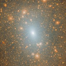 The dark matter distribution of a Milky Way mass halo in a Lambda-cold dark matter (LCDM) cosmological simulation.