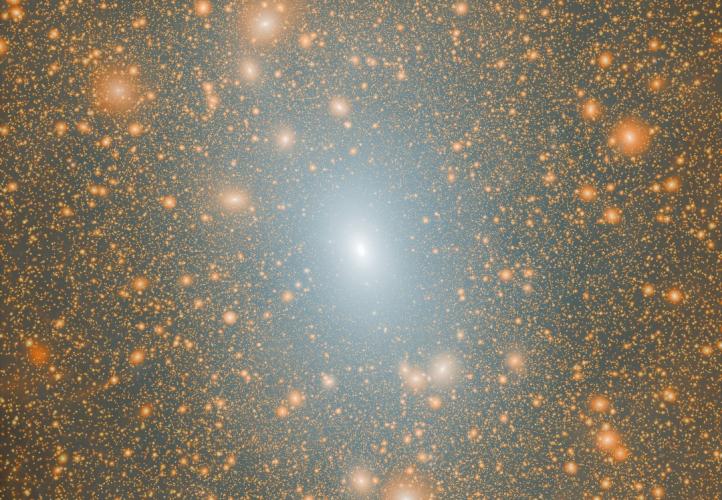 The dark matter distribution of a Milky Way mass halo in a Lambda-cold dark matter (LCDM) cosmological simulation.