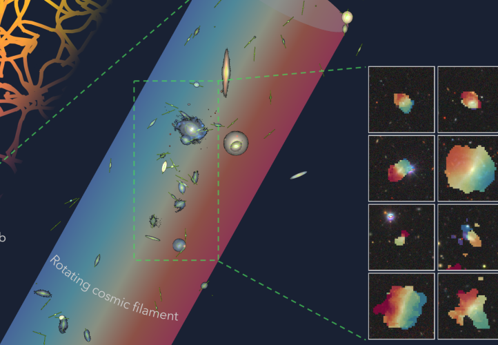A figure illustrating the rotation of neutral hydrogen (right) in galaxies residing in an extended filament (middle), where the galaxies exhibit a coherent bulk rotational motion tracing the large-scale cosmic web (left).