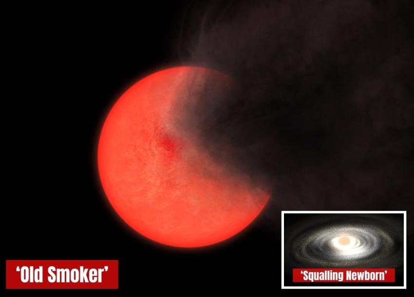 Artist impressions of a so-called 'Old Smoker' red giant star and 'Squalling Newborn' protostar, both observed as part of new research.