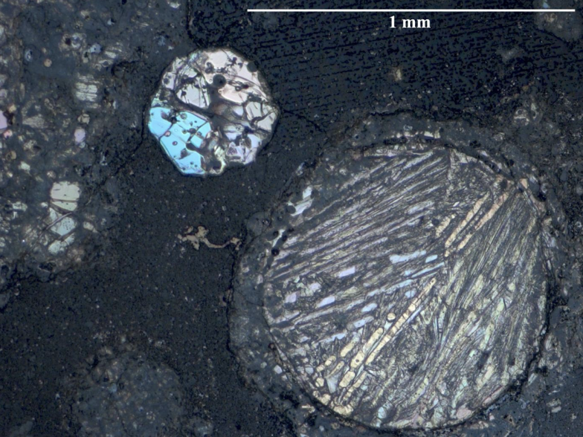 Reflected light image of a thin section of carbonaceous chondrite CV3 from NASA's Antarctic collection, analysed in the study. Several chondrules with bright olivine crystals embedded in a carbonaceous matrix can be seen.